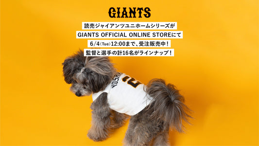 GIANTS OFFICIAL ONLINE STOREにて6/4(火)12:00まで、受注販売中！