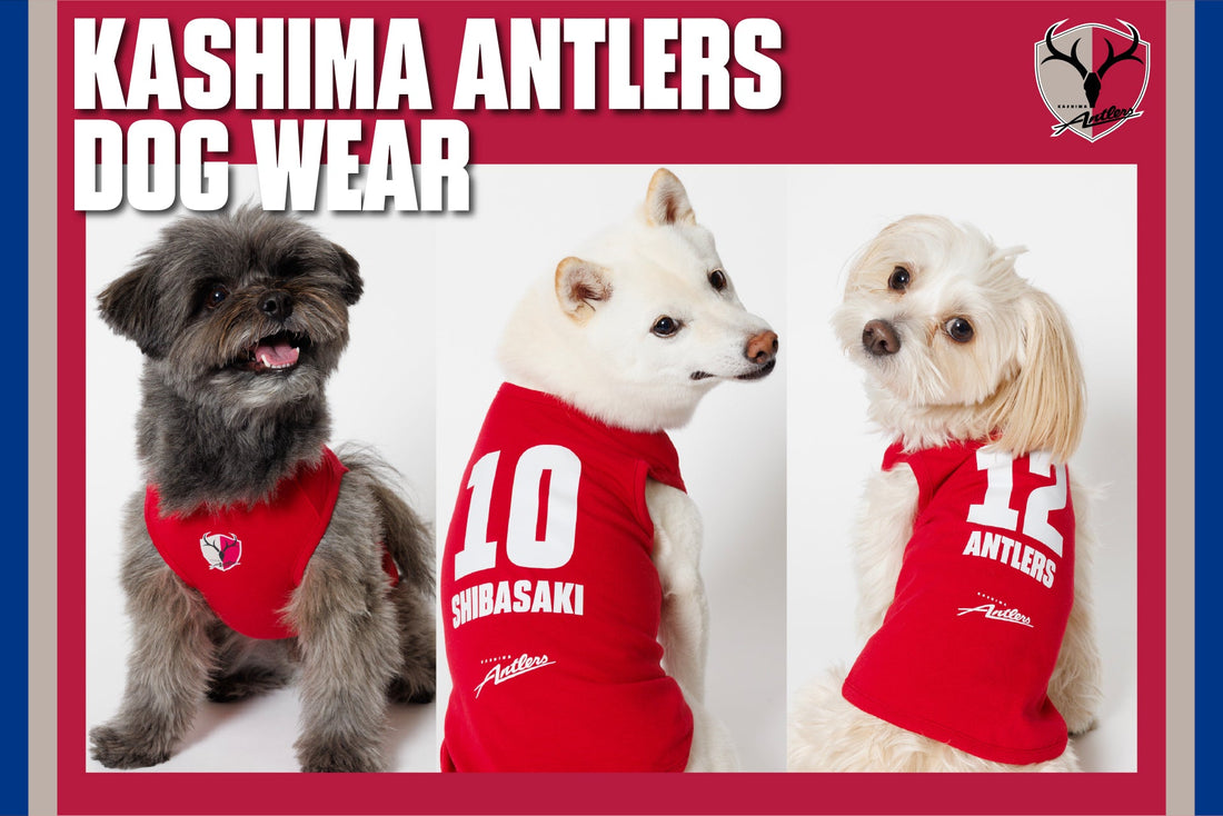 鹿島アントラーズ公式オンラインストアで 4/11~4/21 の期間中、受注販売!