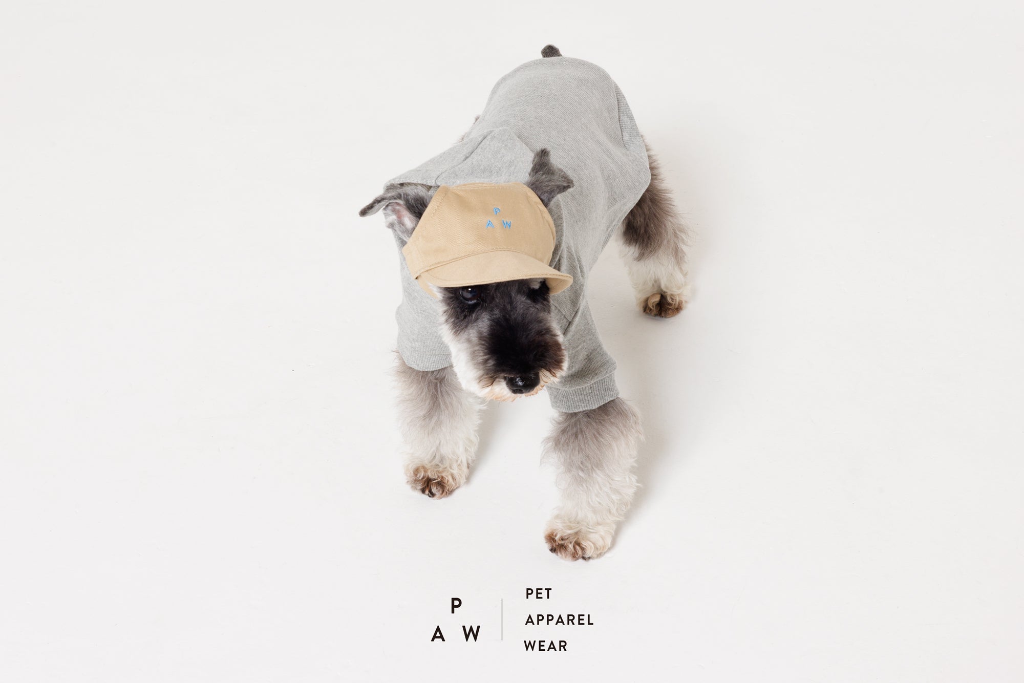 PET CAPが新登場！
