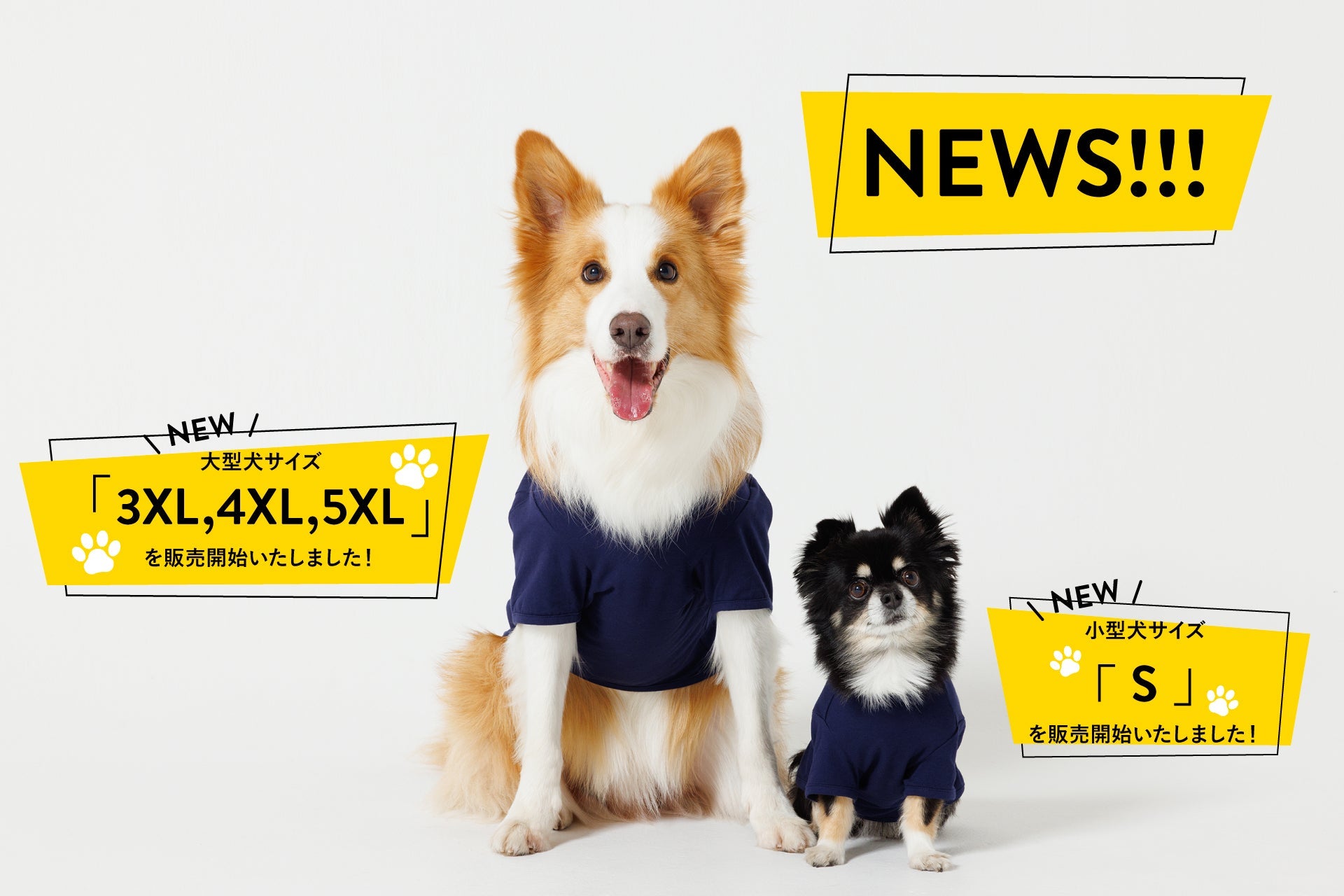 大型犬サイズ、小型犬サイズの＜PET NO SLEEVE T＞、＜PET HALF SLEEVE T＞が登場いたしました！