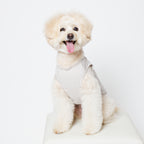 PET NO SLEEVE T GRAY