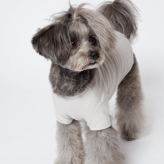 PET HALF SLEEVE T GRAY