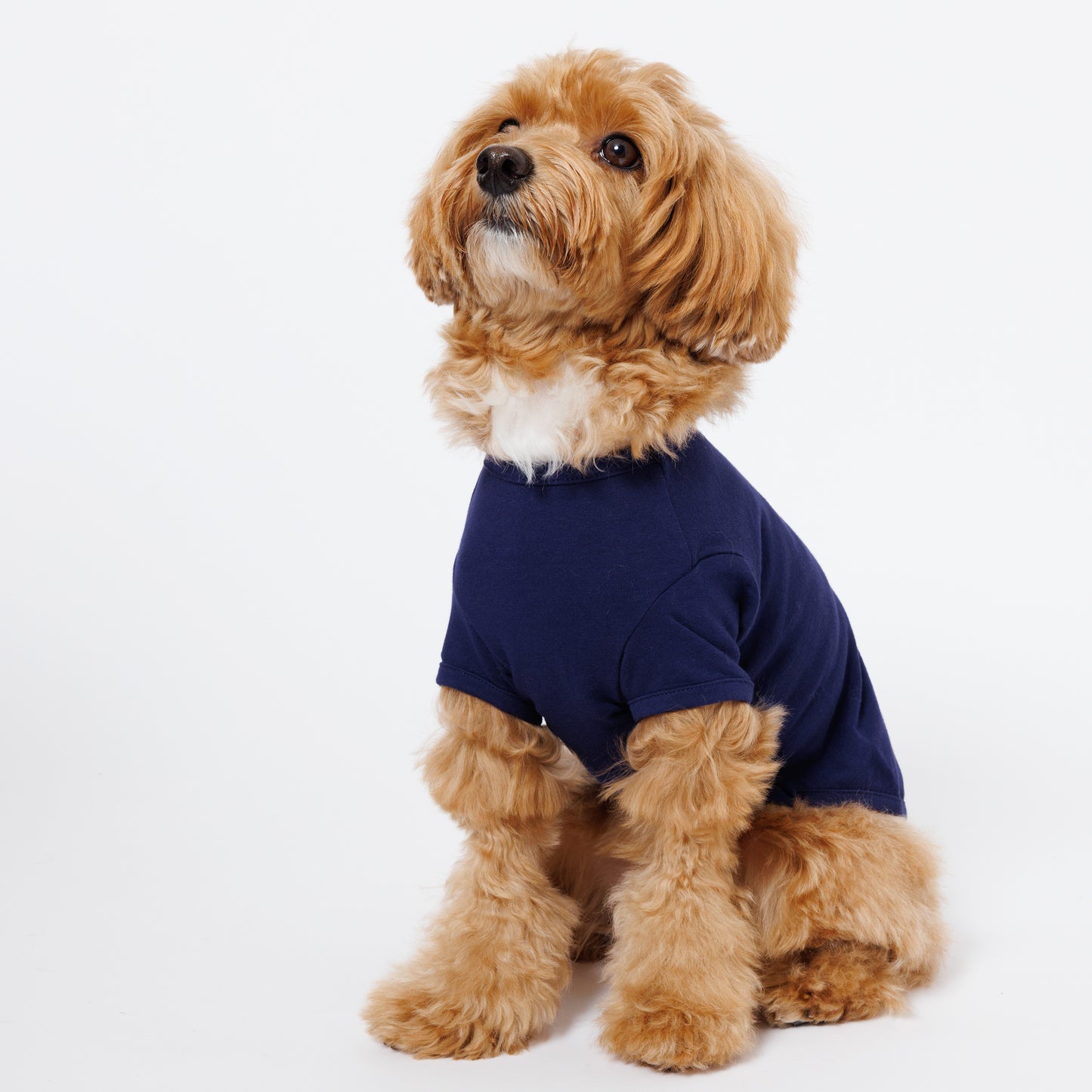 PET HALF SLEEVE T NAVY