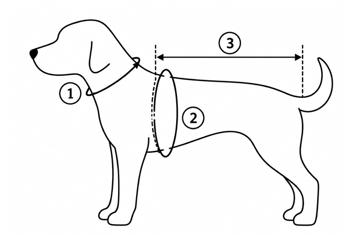 犬の首回り・胴回り・着丈の採寸位置