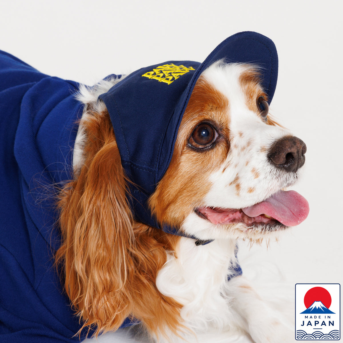 PAW PAW PAW LOGO CAP