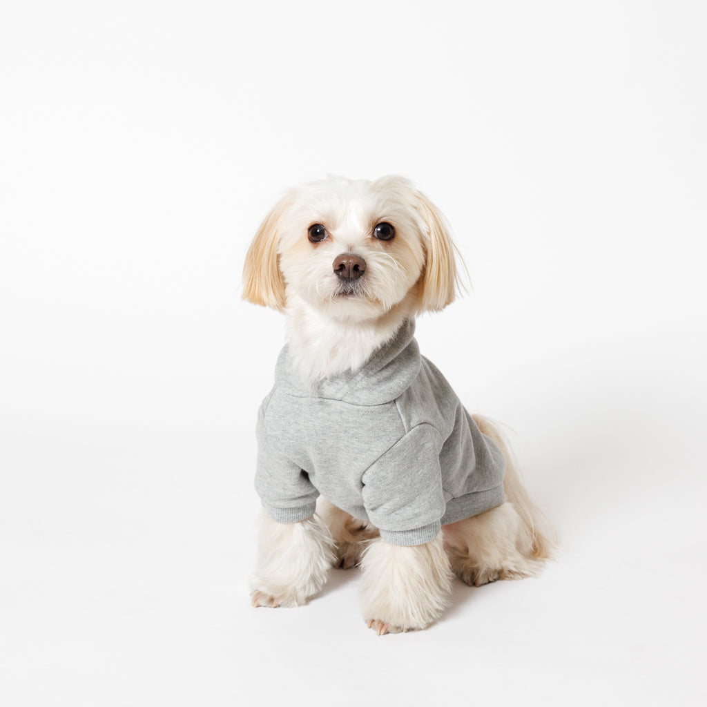 PET HALF SLEEVE FRENCH TERRY PARKA HEATHER GRAY