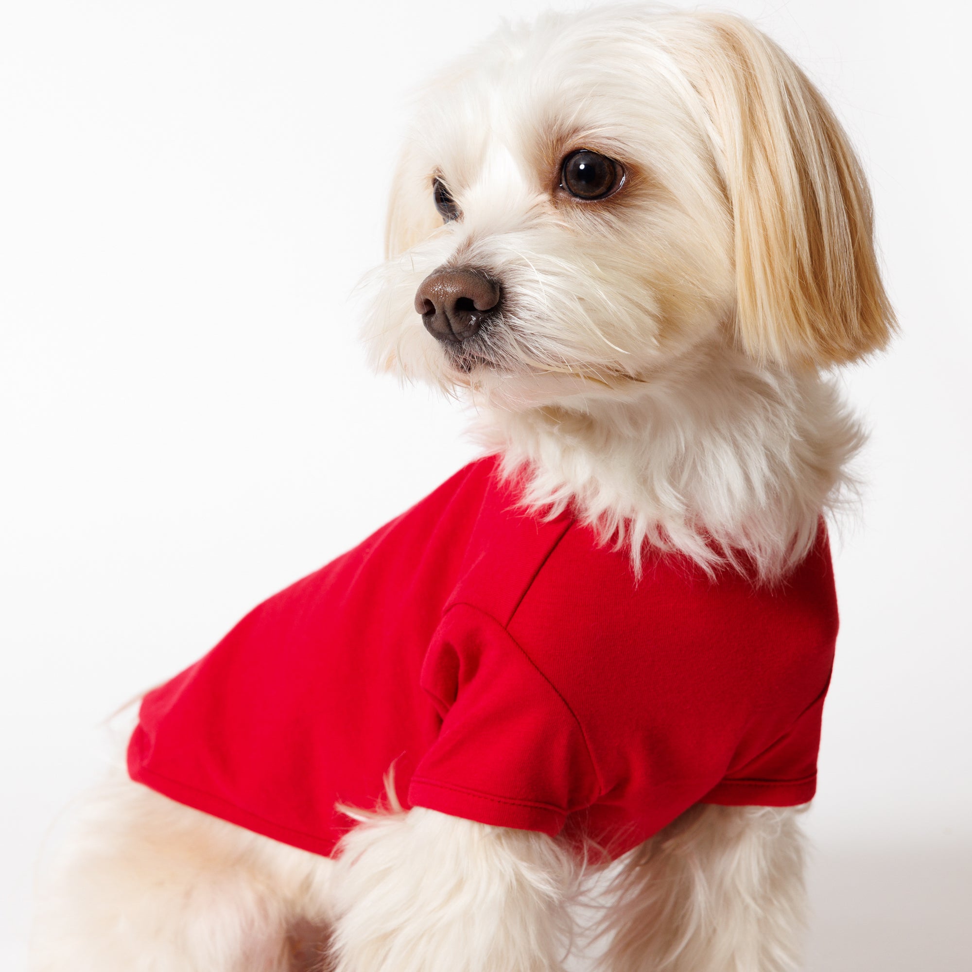 PET HALF SLEEVE T RED