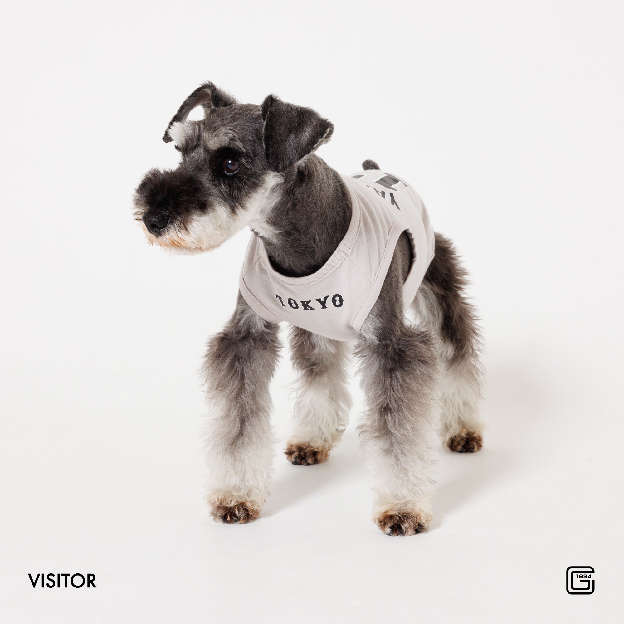 【HOME】【VISITOR】【3rd】 #8 丸 佳浩 選手