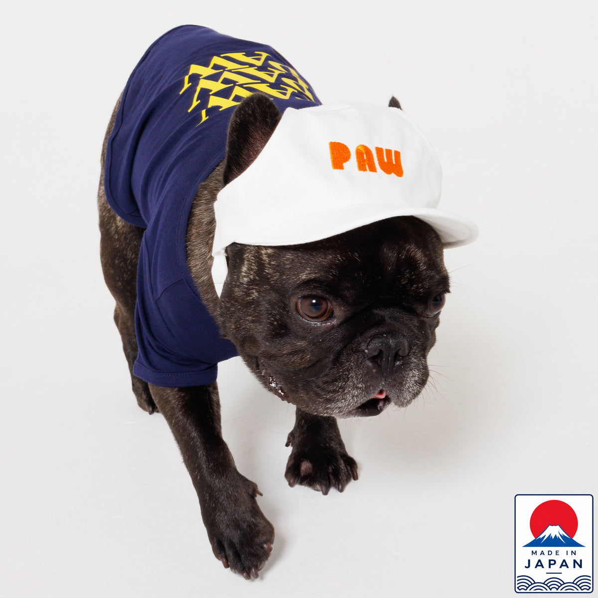 PAW LOGO CAP