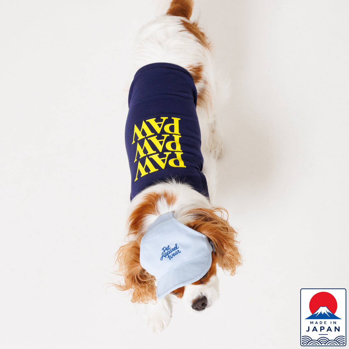PET APPAREL WEAR LOGO B CAP