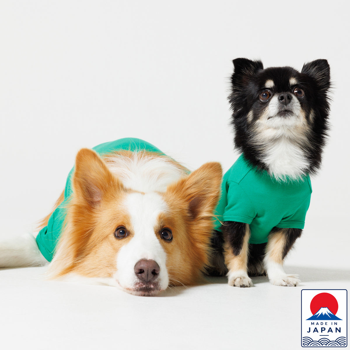PET HALF SLEEVE T GREEN