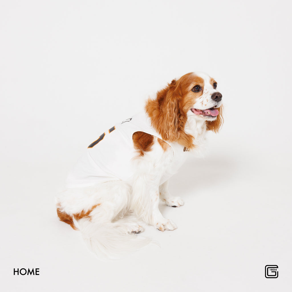 【HOME】【VISITOR】【3rd】 #8 丸 佳浩 選手