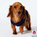 PET NO SLEEVE T NAVY