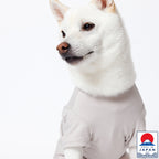 PET HALF SLEEVE T GRAY