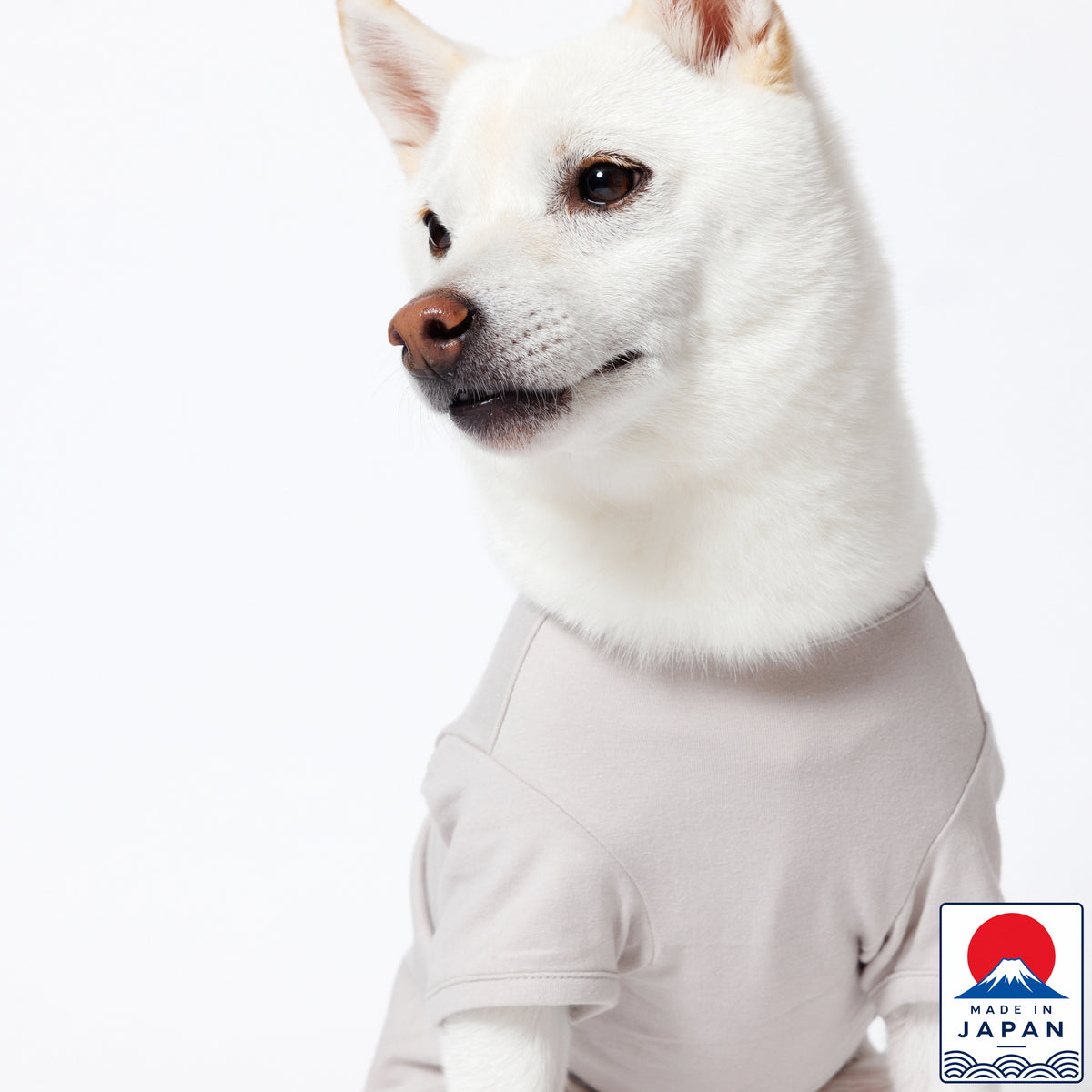 PET HALF SLEEVE T GRAY