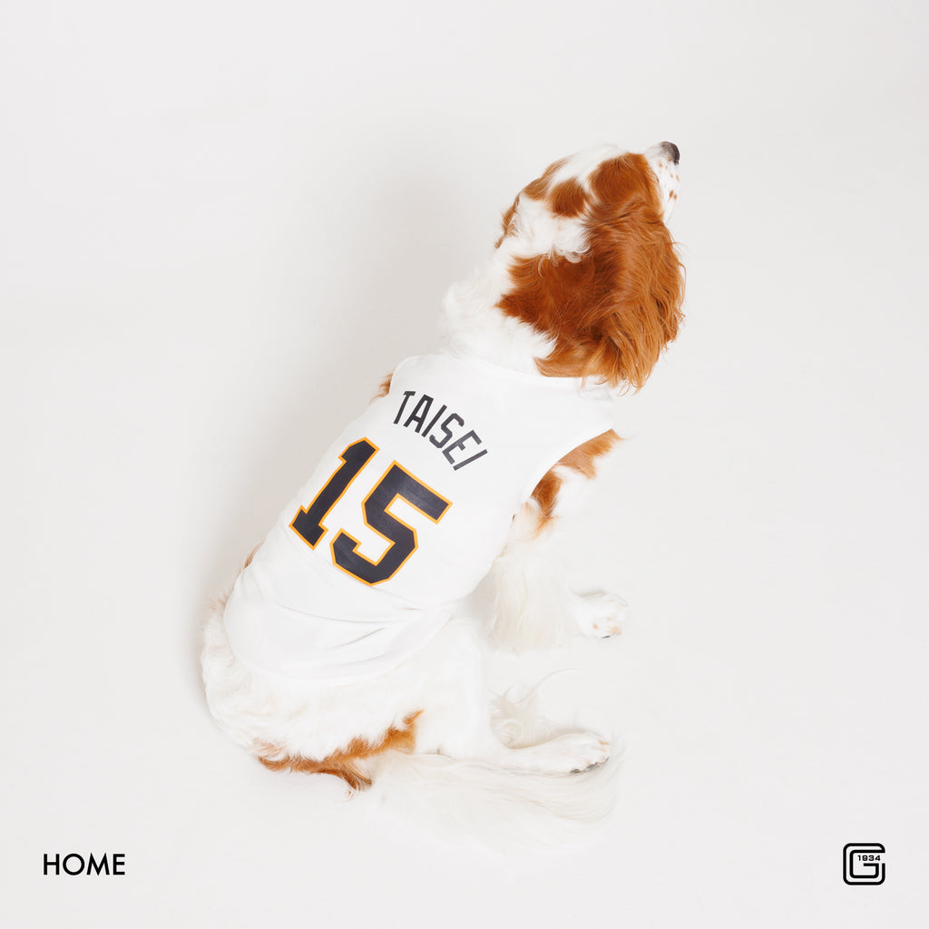 【HOME】【VISITOR】【3rd】 #8 丸 佳浩 選手