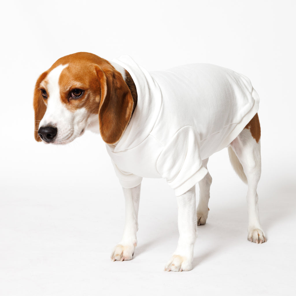 PET HALF SLEEVE FRENCH TERRY PARKA WHITE