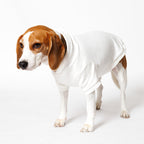 PET HALF SLEEVE FRENCH TERRY PARKA WHITE