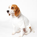 PET HALF SLEEVE FRENCH TERRY PARKA WHITE