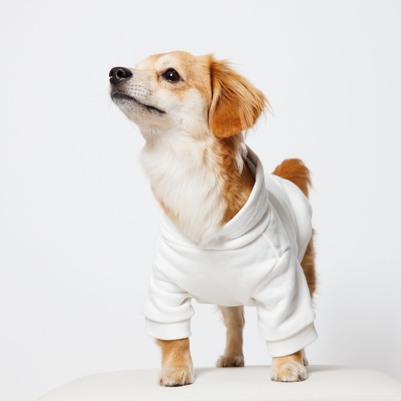 PET HALF SLEEVE FRENCH TERRY PARKA WHITE