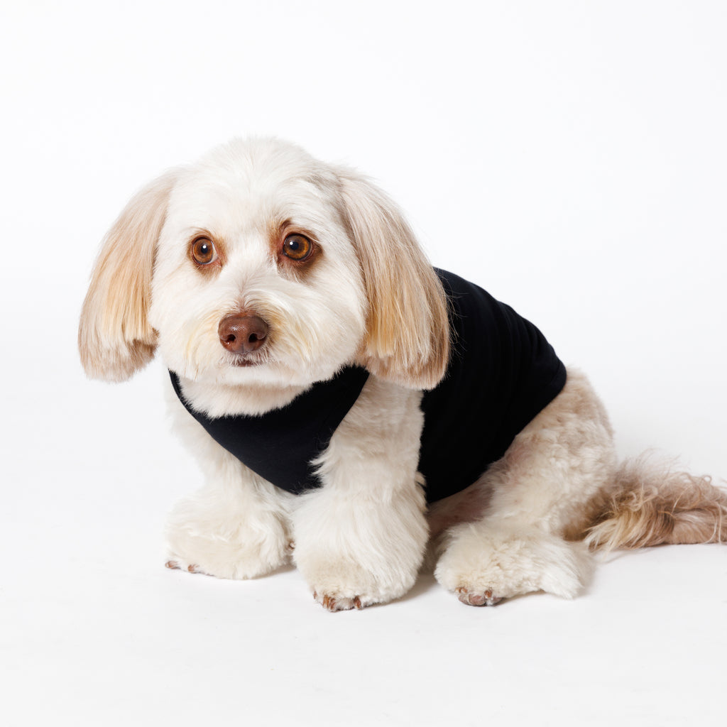 PET NO SLEEVE T BLACK