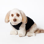 PET NO SLEEVE T BLACK