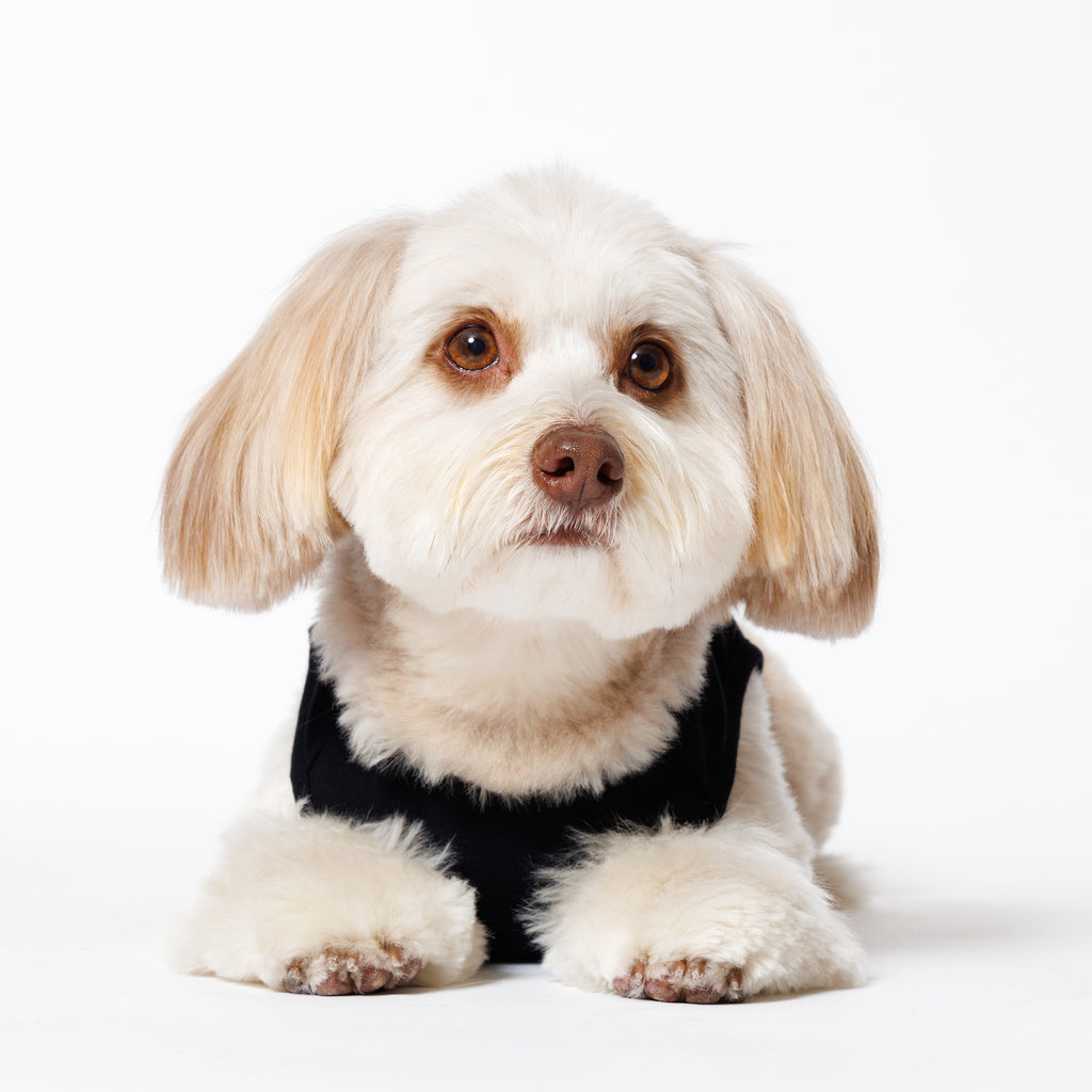 PET NO SLEEVE T BLACK
