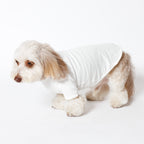 PET HALF SLEEVE T WHITE
