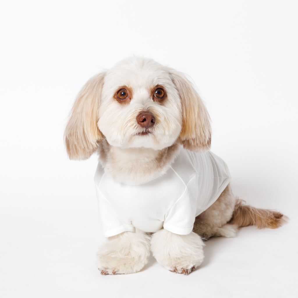PET HALF SLEEVE T WHITE
