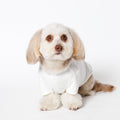 PET HALF SLEEVE T WHITE