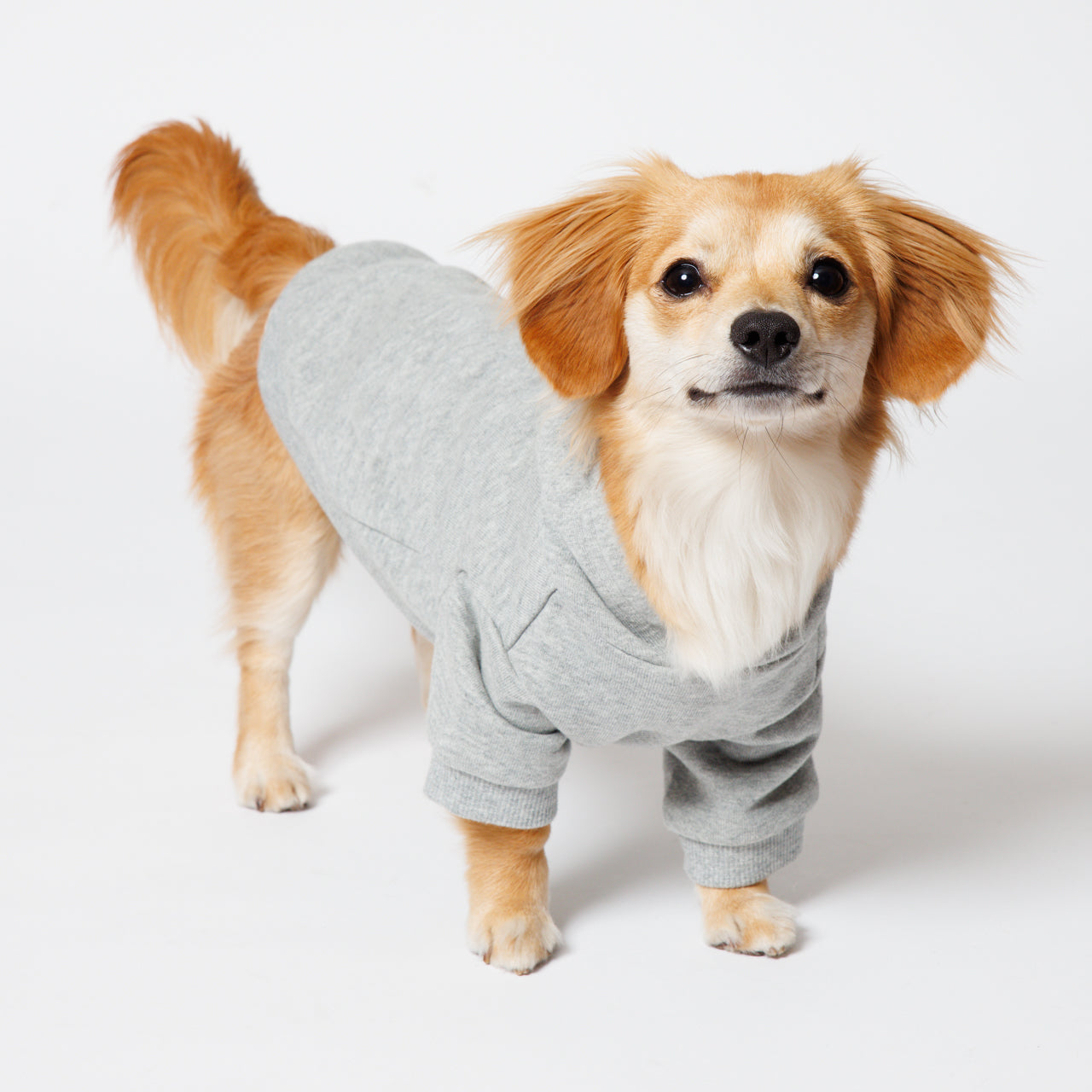 PET HALF SLEEVE FRENCH TERRY PARKA HEATHER GRAY