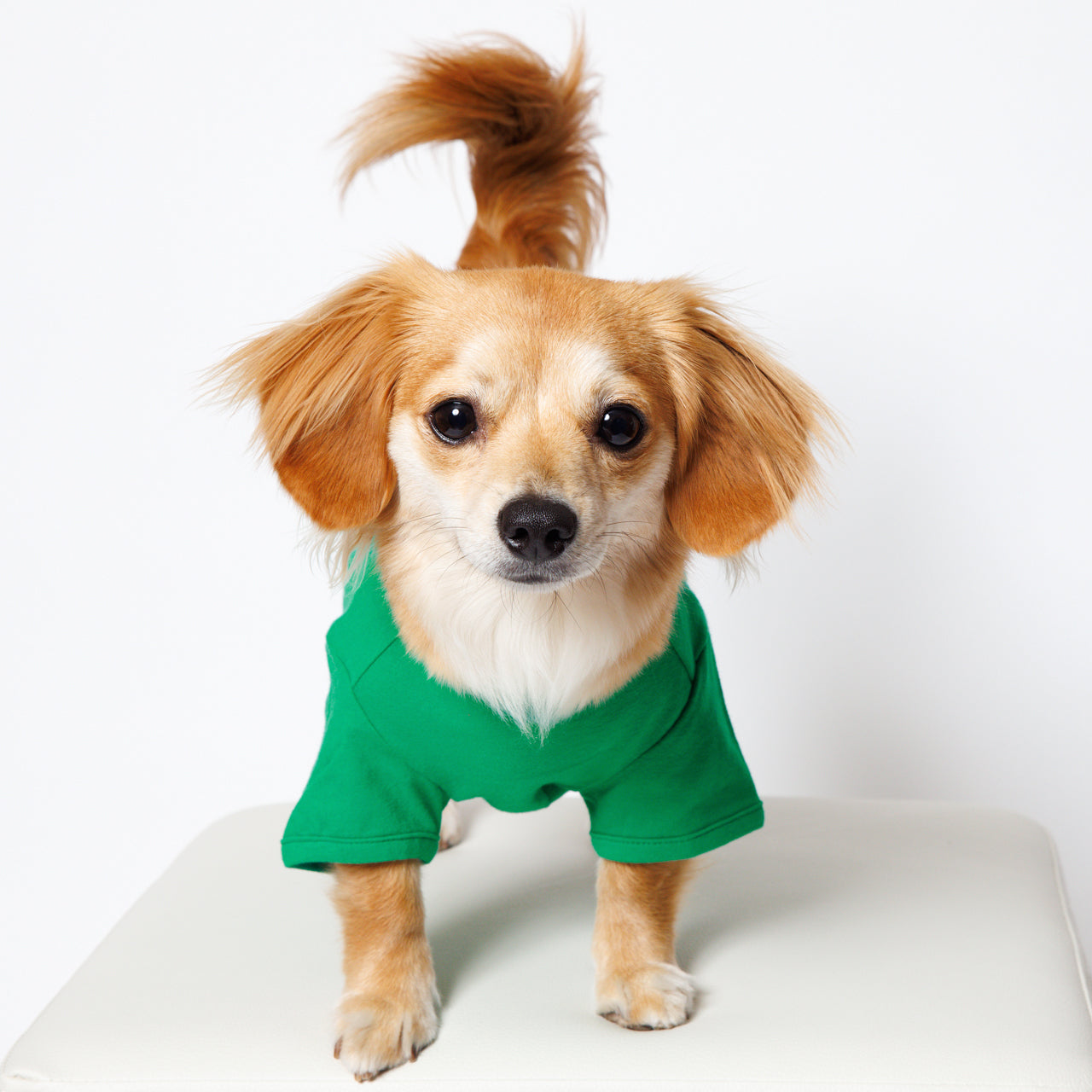 PET HALF SLEEVE T GREEN