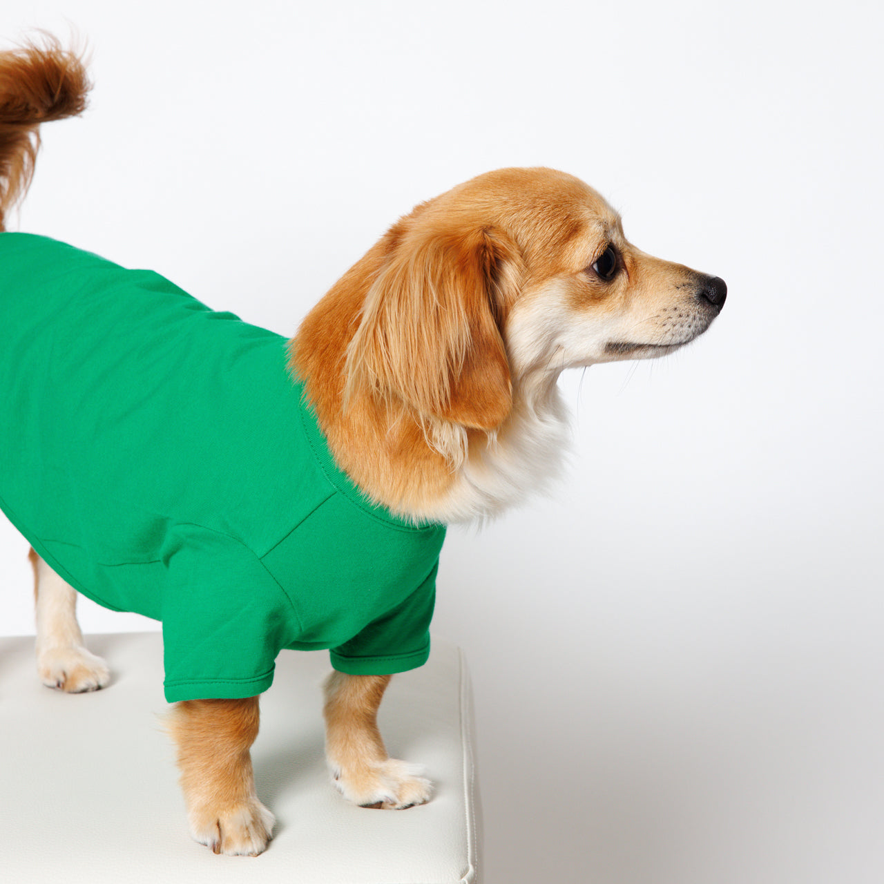 PET HALF SLEEVE T GREEN