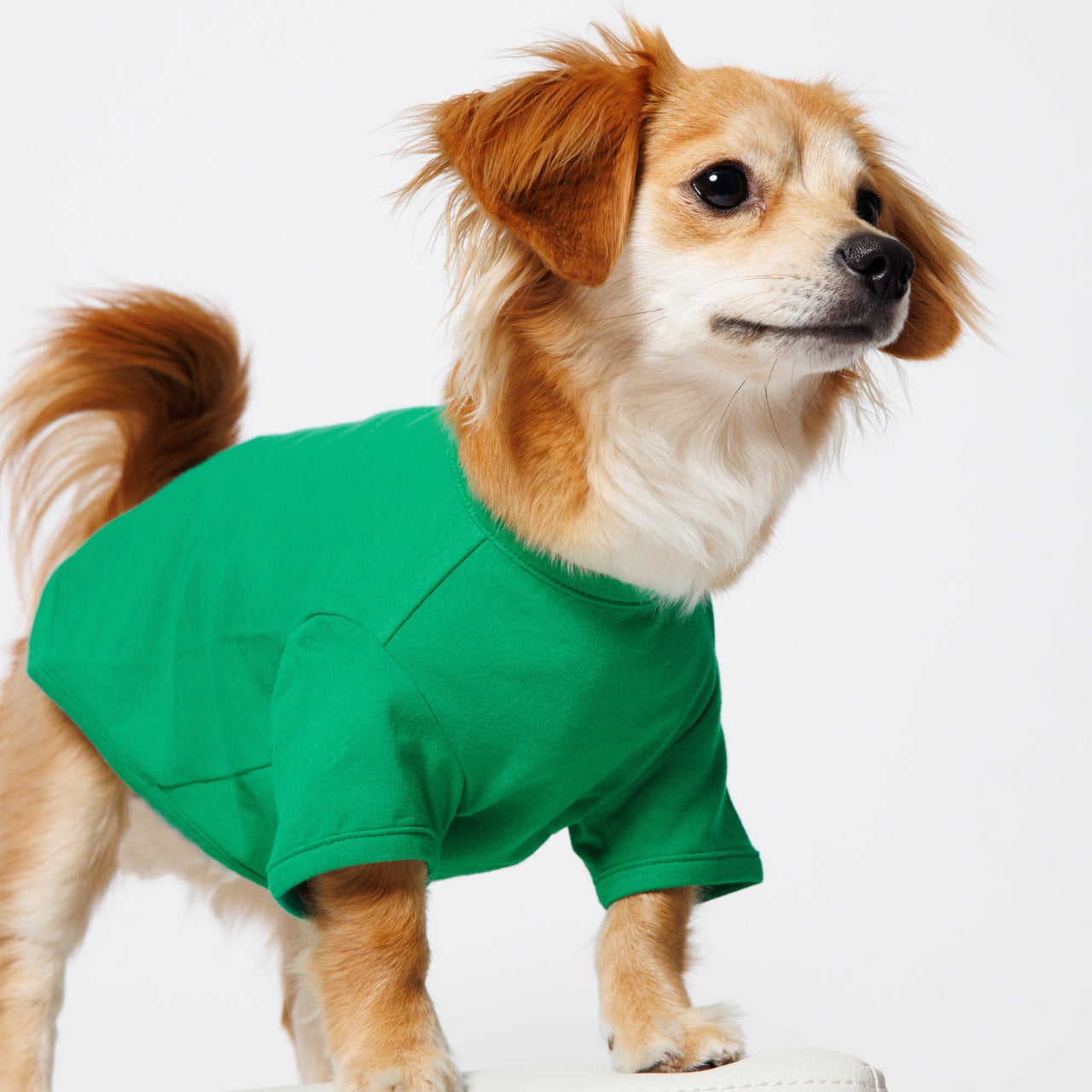 PET HALF SLEEVE T GREEN