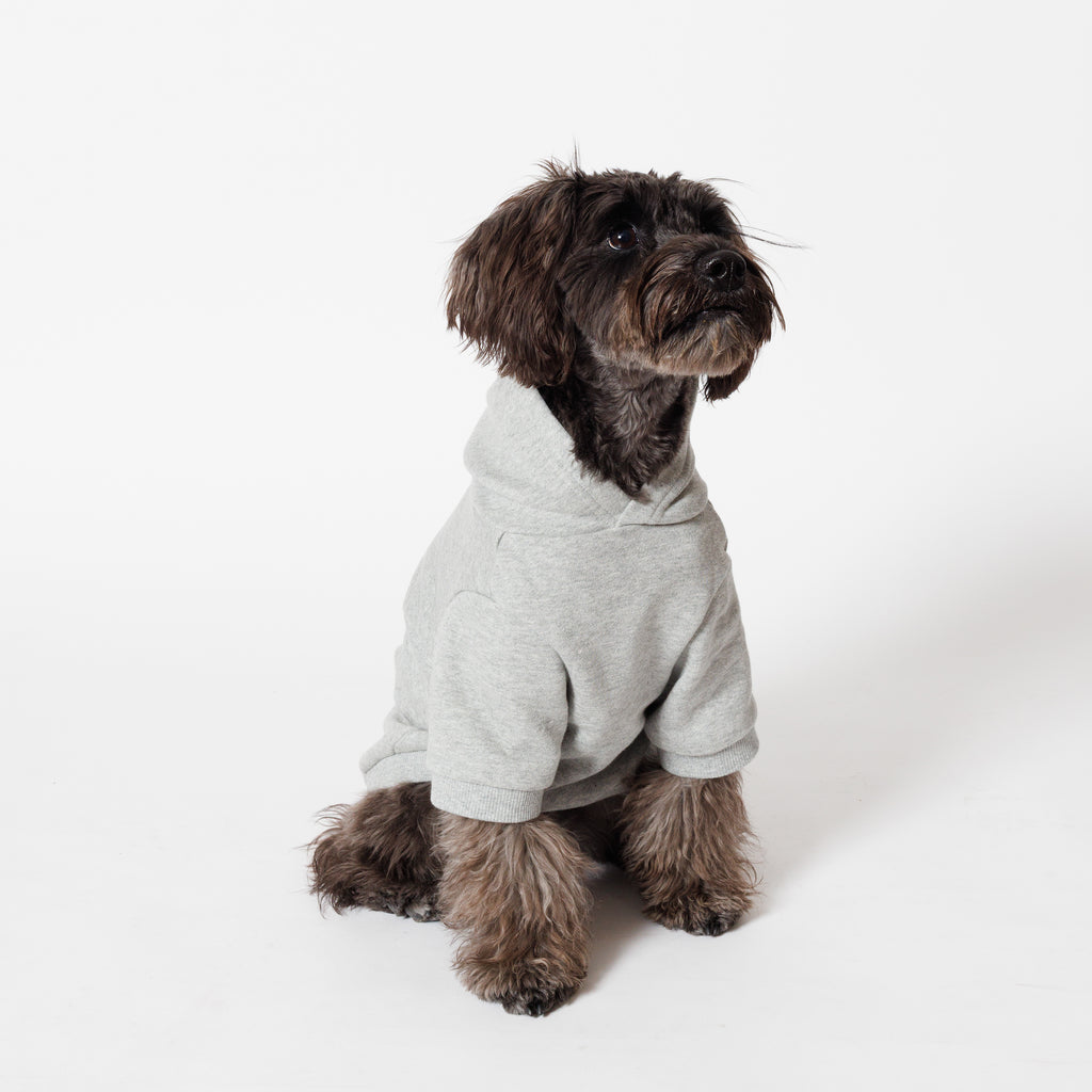 PET HALF SLEEVE FRENCH TERRY PARKA HEATHER GRAY