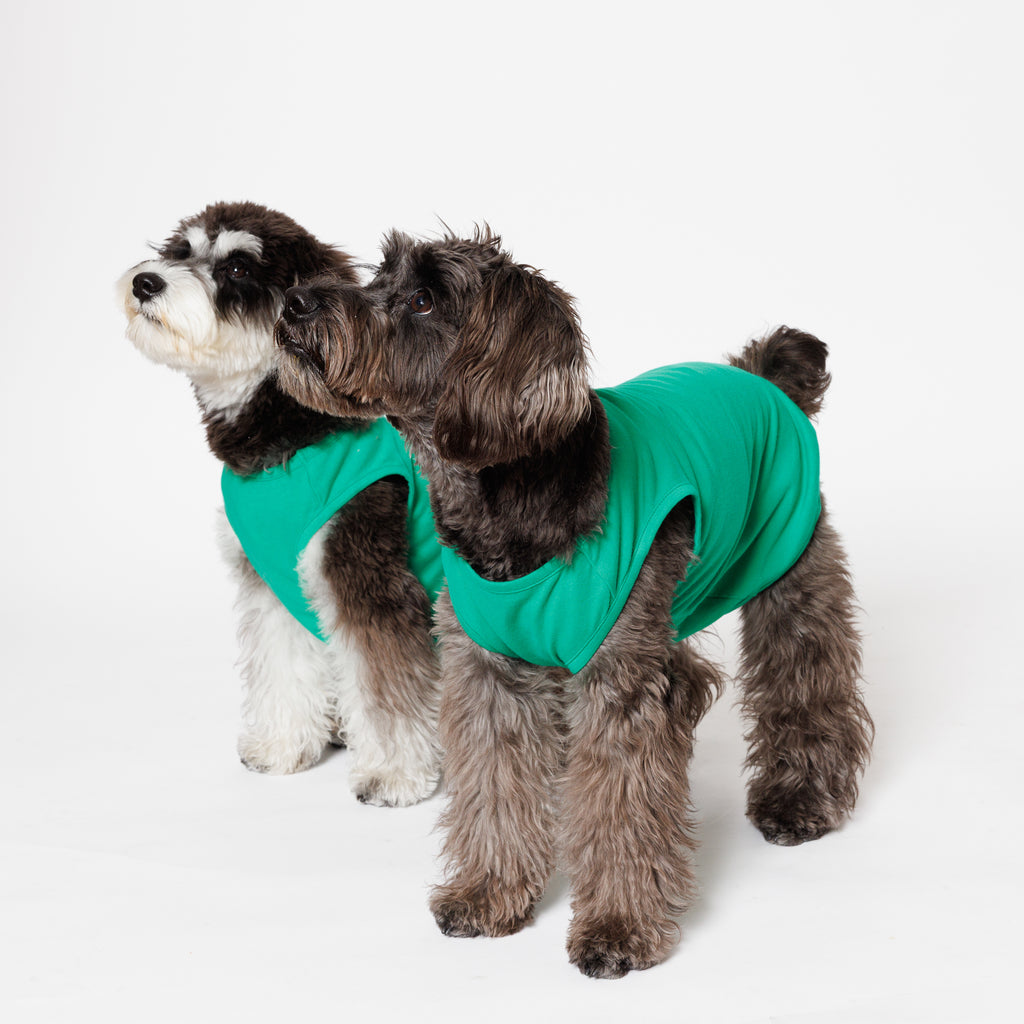 PET NO SLEEVE T GREEN