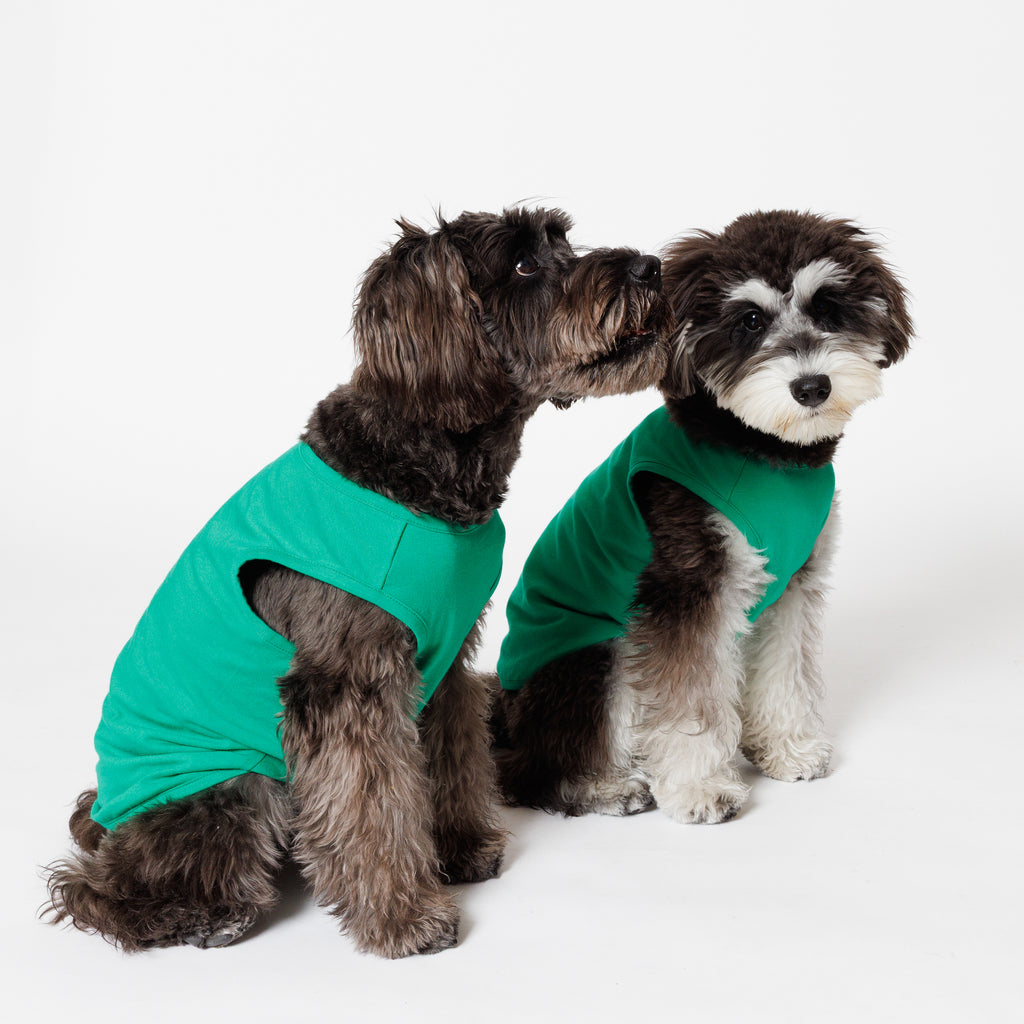 PET NO SLEEVE T GREEN