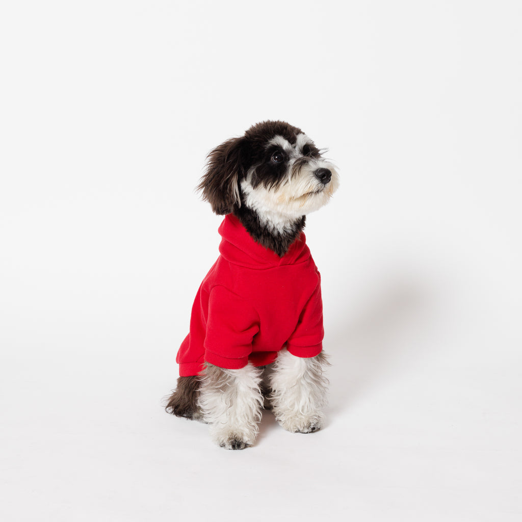 PET HALF SLEEVE FRENCH TERRY PARKA RED