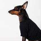 PET HALF SLEEVE T BLACK