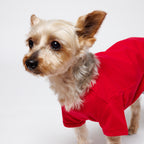 PET HALF SLEEVE T RED