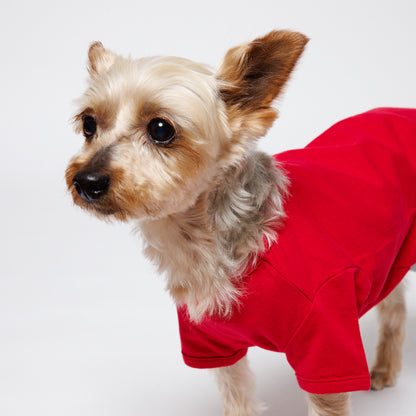 PET HALF SLEEVE T RED