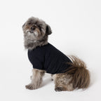 PET HALF SLEEVE T BLACK