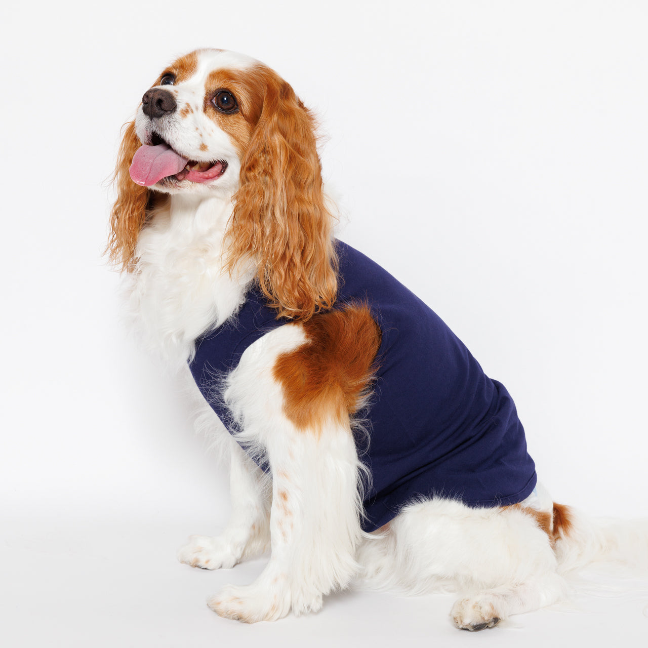 PET NO SLEEVE T NAVY