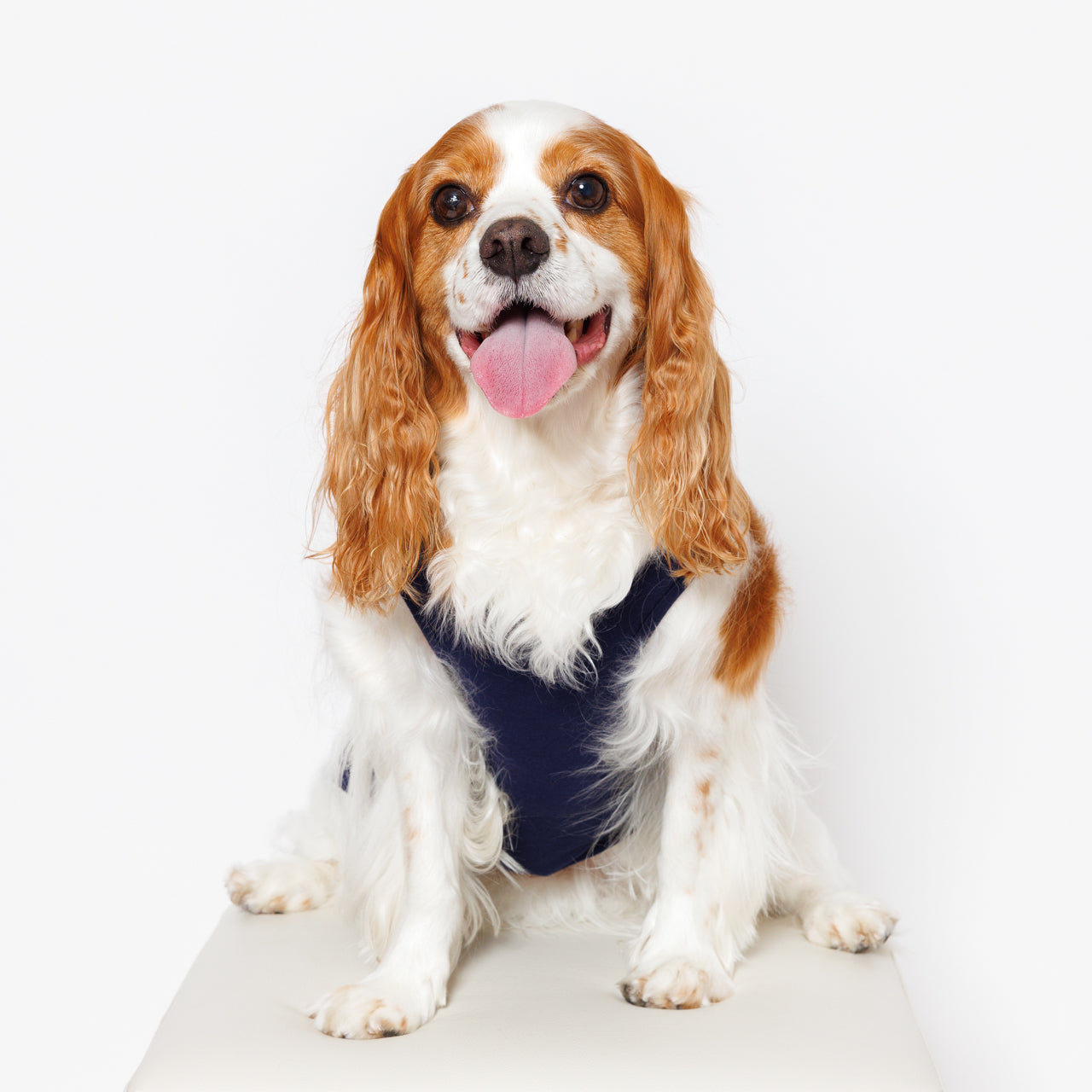 PET NO SLEEVE T NAVY