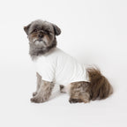 PET HALF SLEEVE T WHITE