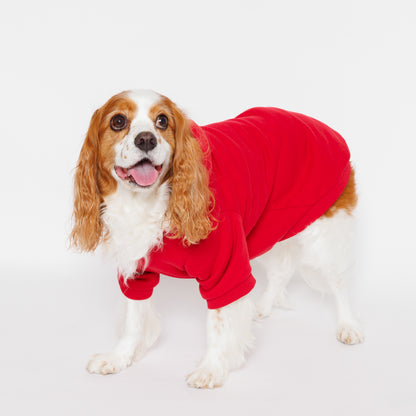 PET HALF SLEEVE FRENCH TERRY PARKA RED