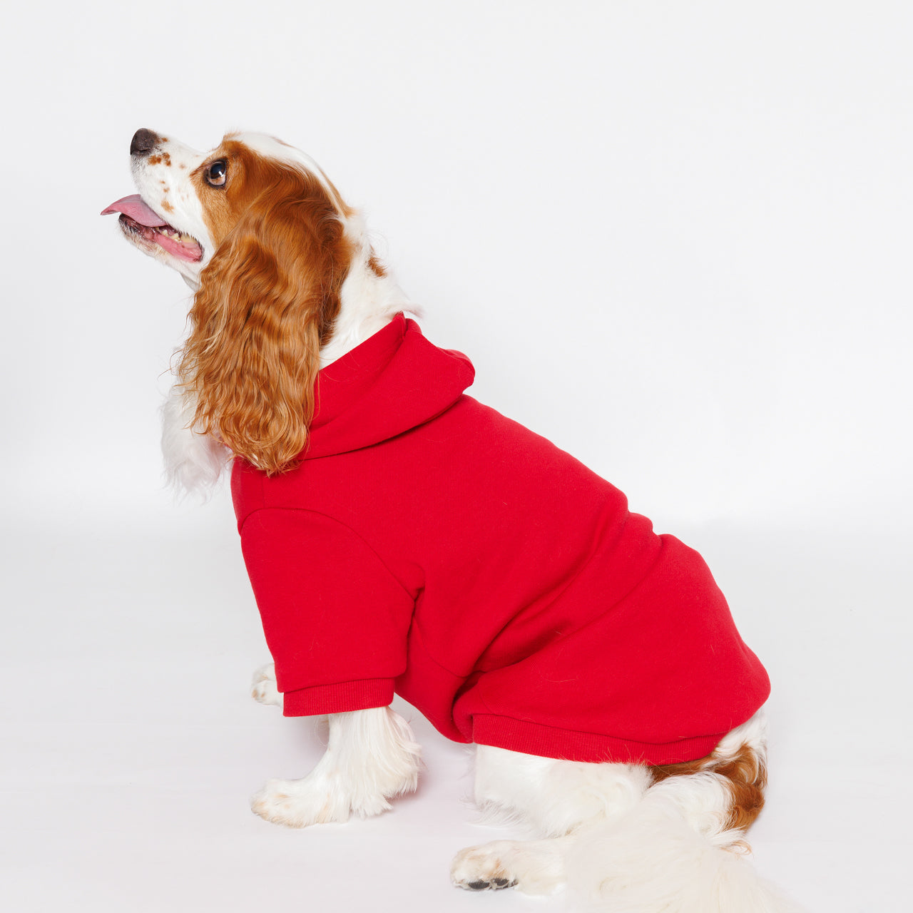 PET HALF SLEEVE FRENCH TERRY PARKA RED