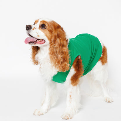 PET NO SLEEVE T GREEN