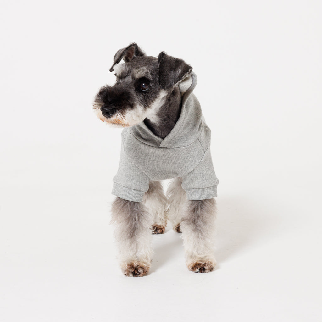 【NEW】PET HALF SLEEVE FRENCH TERRY PARKA HEATHER GRAY