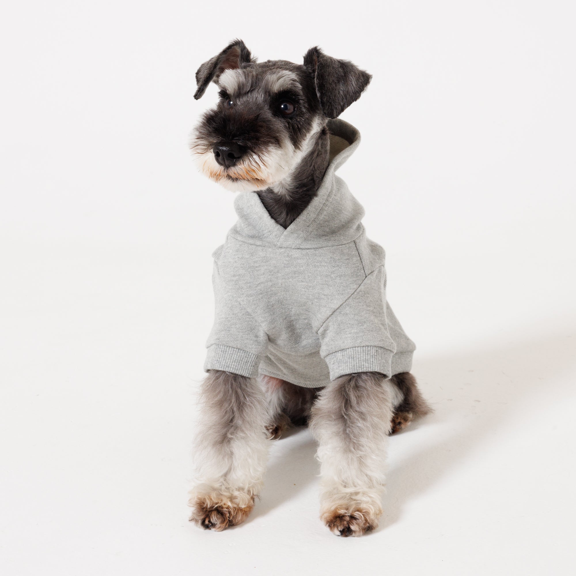【NEW】PET HALF SLEEVE FRENCH TERRY PARKA HEATHER GRAY